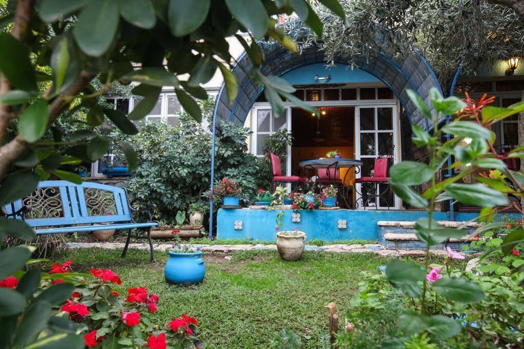 Havaya Ba Nof Lodge Rosz Pina Zewnętrze zdjęcie
